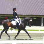 Sea Lion Dressage