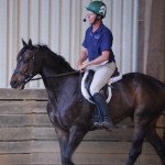 Pittman teaches at Thoroughbreds for All event