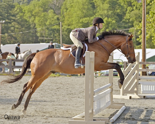 Dreamer jumps for ribbons, and to help earn money for other needy OTTBs. Photo courtesy Onawa Rock Photography