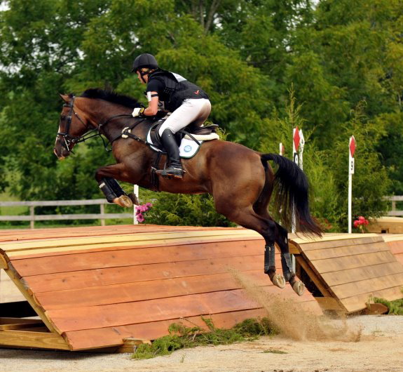 Her $750 Thoroughbred competes beyond the level of her expensive import