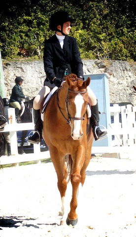 What a Deal and Amy Outerbridge at a recent Bermuda horse show