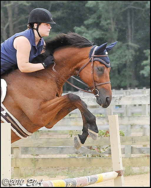 Sarah with her OTTB Wizard