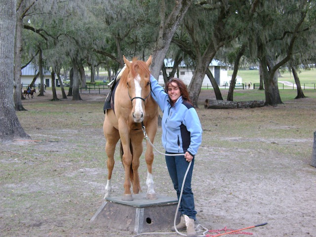 Valerie trains the Natural Horsemanship way