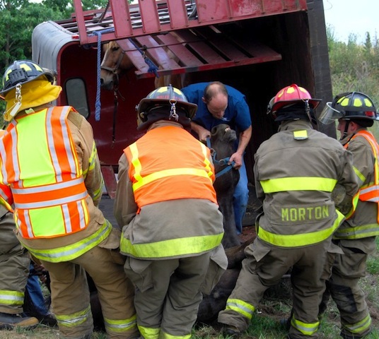Response to a trailer accident involving livestock is a topic for the course. Photo courtesy Deb Chute