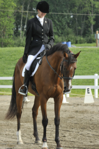 Carin Brown and Hermosa Valor doing dressage years ago