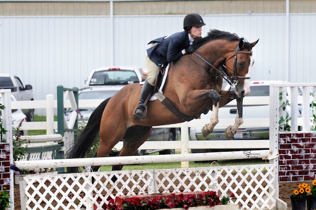 New Vocations grad Saratoga Steve with rider Katie Fink compete in the Hunter/Jumper Division. Photo by Suzanne Fisher