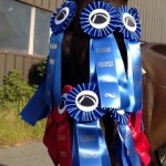 Trey Bear ponies at Maryland Racetrack by day and wins High Point awards in his spare time