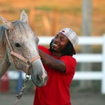 Bert worked with former federal inmates on probation before become a therapy horse