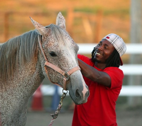 Happy Bert worked with former federal inmates on probation before becoming a therapy horse