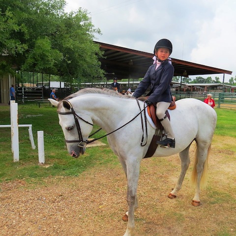 Henry and his 8-year-old rider Emma Munroe makes the prettiest picture at a recent show