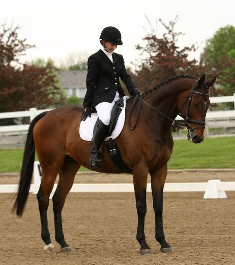 Tracey Evans and Oliver in their horse show days