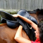 Jaimie Kinnear of Trilogy Saddle Company fits a saddle to her OTTB Jelly
