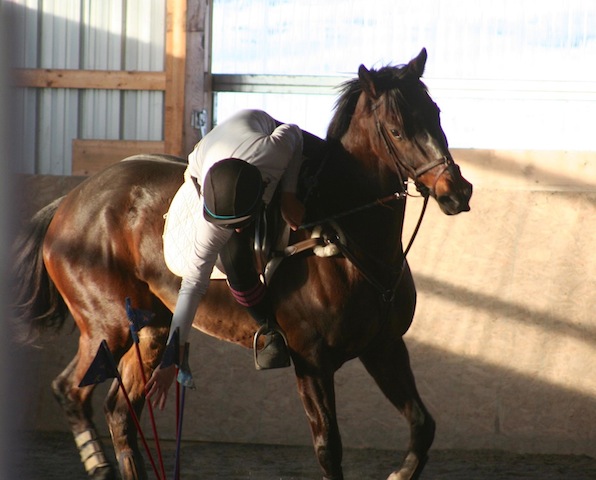Annie is one of the few Thoroughbreds to be used in Mounted Games