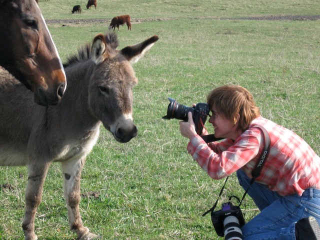 Livingston captures the cuteness of a Thoroughbred and donkey. Photo by Sandy Zaconick