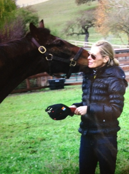 Diorella, an un-raced mare, is another "special needs" horse who has found a permanent home with Jan Vandebos