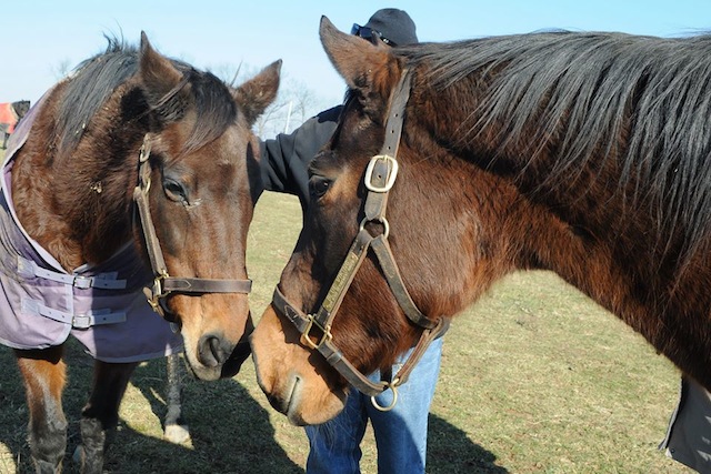 Lotka, on left, was a bright, bossy personality at the retirement farm