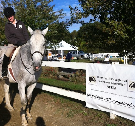 In Massachusetts, Thoroughbreds and half-Thoroughbreds joined in the fun. Photo by Jessica Paquette
