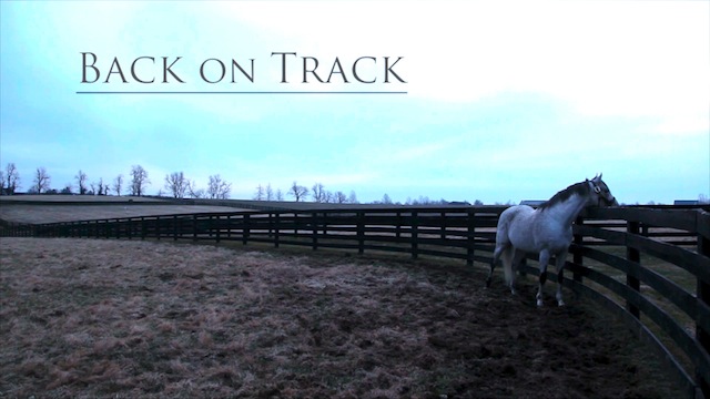 Back on Track is a documentary about off-track Thoroughbreds and the racing industry