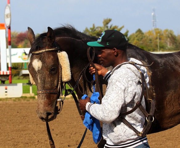 After the race, a horse and Fort Erie worker head back to the barn. Photo by Laurie Langely