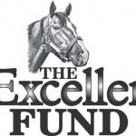 Exceller Fund lures members with shares in filly