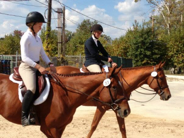 Prodigioso, left, known as the "Everglades horse" enters Pimlico show with Zatopek