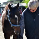 Cost of Freedom earned over $1 million on the track before Santa Anita and Del Mar head clocker John Malone purchased him for retirement this Christmas