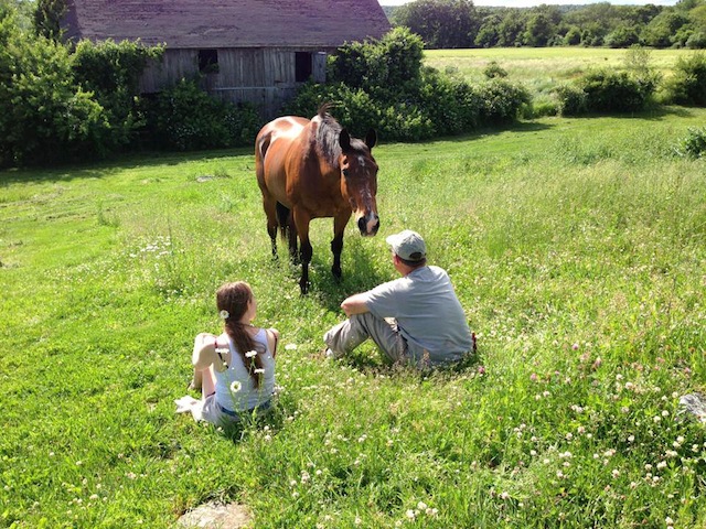 Mitchell Farm Equine Retirement in Salem, Conn., was among those accredited by the TAA