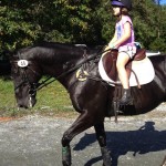 Ex-racehorse Davy Jones, who became the family pet and Eventing prospect for Mellisa Davis Warden, died suddenly this week from colitis. He is shown carting her daughter around after a cross-country ride.