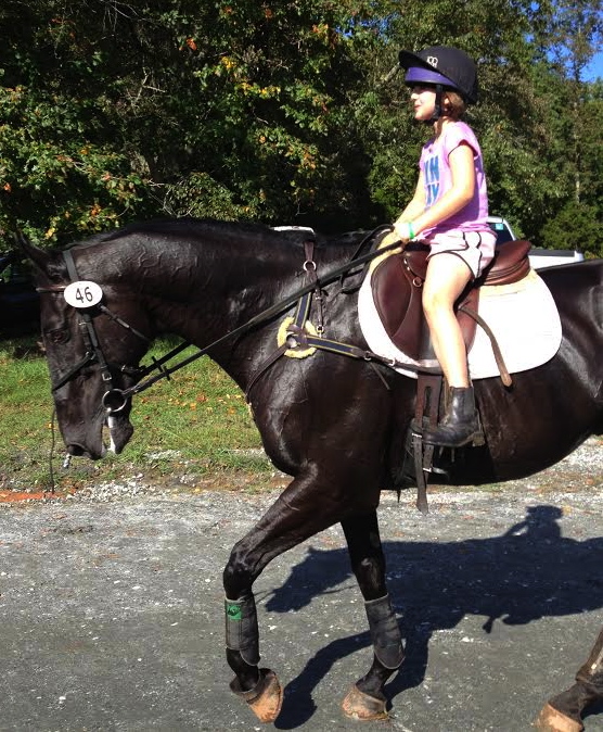 Ex-racehorse Davy Jones, who became the family pet and Eventing prospect for Mellisa Davis Warden, died suddenly this week from colitis. He is shown carting her daughter around after a cross-country ride.