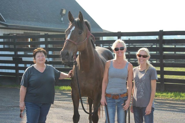 Now restored to health, Press Exclusive is welcomed to the Equine Advocates sanctuary for permanent retirement