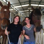 Apositively, on left, is leaving Texas to take up residence at Wild Aire Farm in Kentucky, among family.