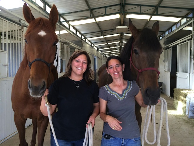 Apositively, on left, is leaving Texas to take up residence at Wild Aire Farm in Kentucky, among family.