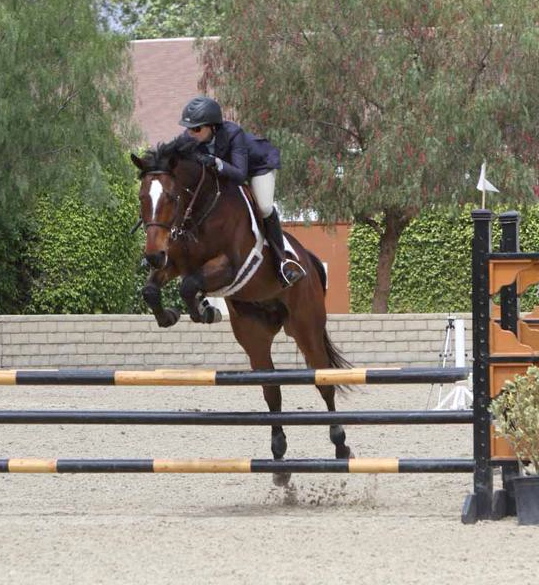 Amy Hess, a well-known trainer, rides Diplo to win at the Thoroughbred Classic Horse Show in California last weekend.