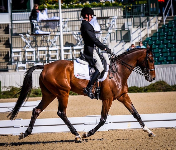 James Alliston and his OTTB Parker are among the ones to watch at this year's Rolex. Photo by Allie Conrad, executive director of CANTER Mid-Atlantic