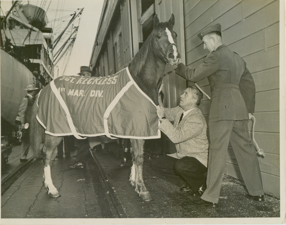 Kentucky Oaks race honors forgotten war horse