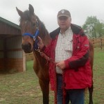 Perfect, the son of Triple Crown winner Affirmed, is now permanently retired at Equine Rescue of Aiken with Jim Rhodes.