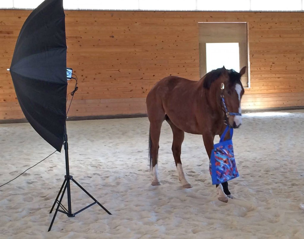 Metro poses with one of his new totes. His brushstroke patterns are also featured on other merchandise, including pillows, and in the future, saddle pads.