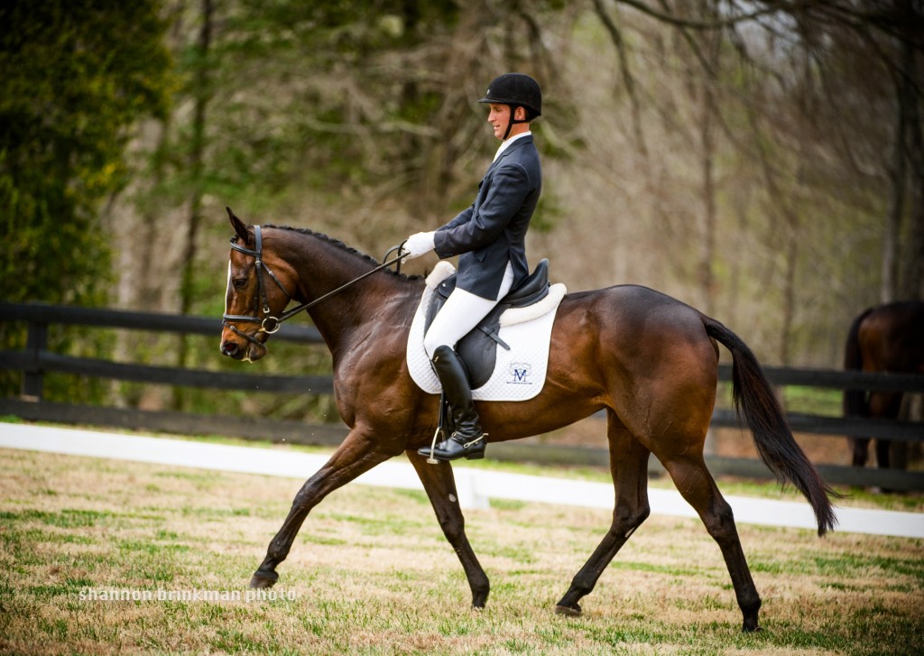 Ava was passed over time and time again at CANTER Mid Atlantic for being too downhill. Look at her now!  Working with Southern Pines Eventer and trainer Andrew McConnon, she is competing beyond expectations. Photo by Shannon Brinkman