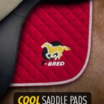 Cool T-Bred Saddle Pad
