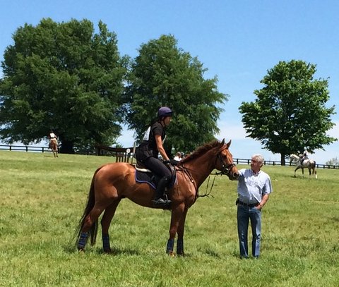 Martin O'Doud stops a moment to commune with Manhattan Fox at the Kentucky Horse Park.