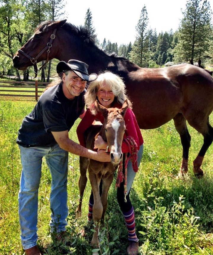 Valerie Ashker at Crow's Ear Farm in California, where she raises and trains Thoroughbred sport horses.