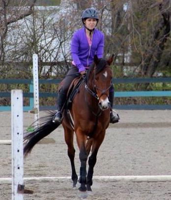 Off the track, Paquette enjoys schooling her ex-racehorse What A Trippi.