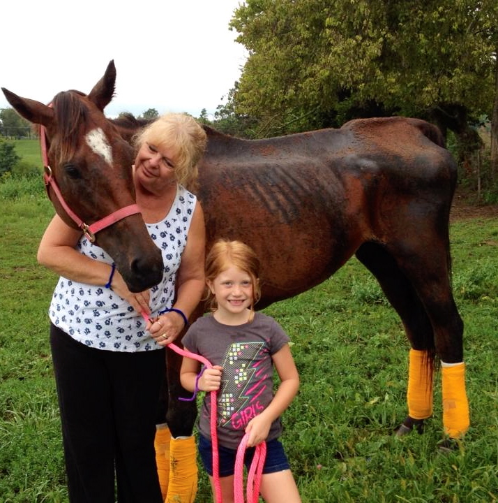 Jo Jo's Gypsy, rescued by Jeanne Mirabito of Our Mims Horse Haven, is not nearly out of the woods. But  she is so loved.
