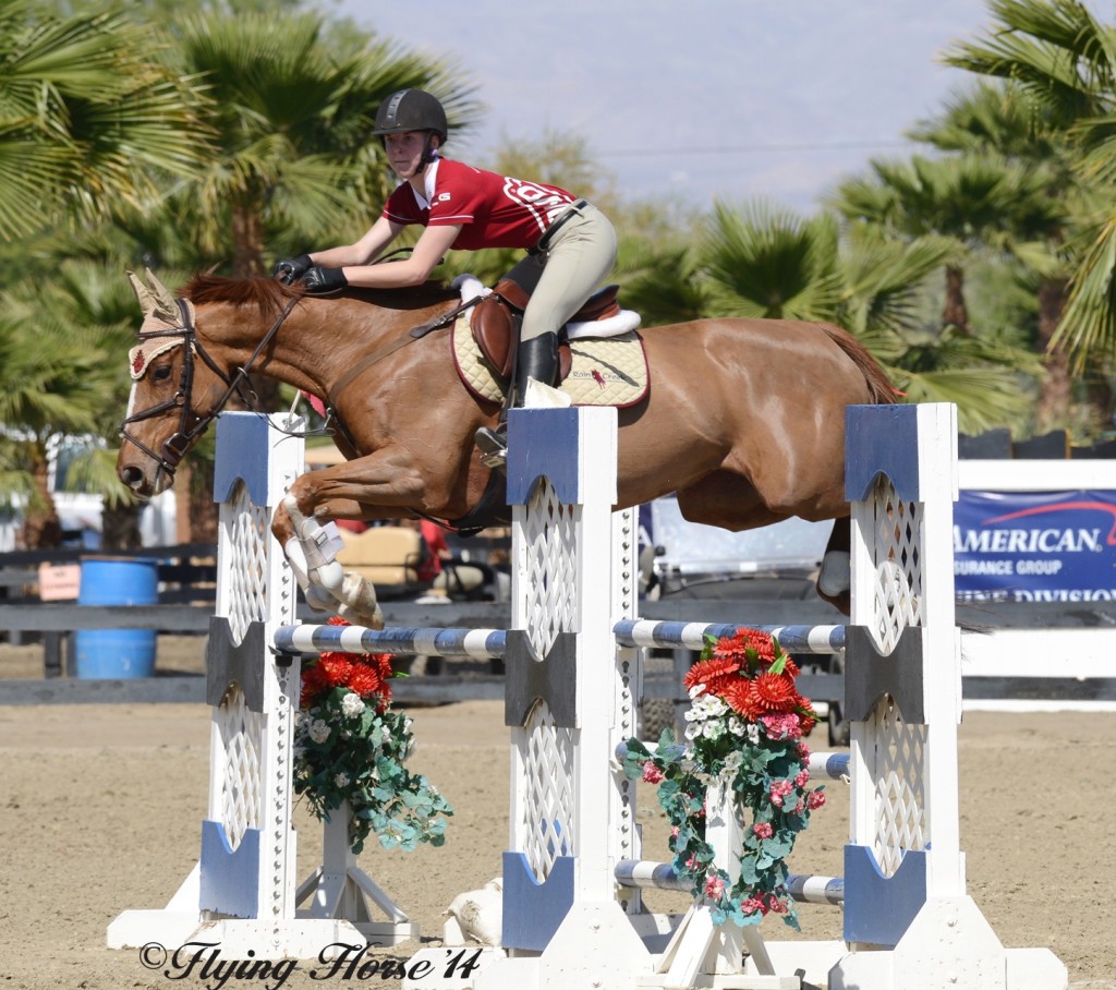 Holiday Cat was a difficult mare, but one who has blossomed under rider/owner Brayle McEllrath.