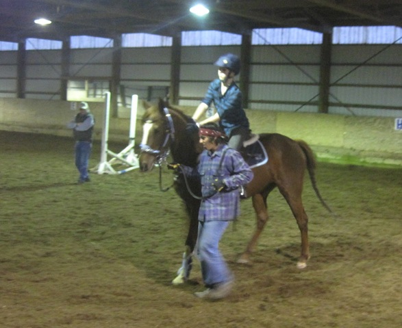 On their very first ride, Holiday Cat wore a halter, a bridle and a chain, and was led around at the walk.