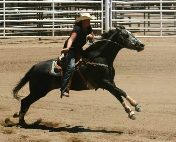 Moon, purchased three years ago for 150 bales of hay, has a shot at becoming a professional barrel racer this year.