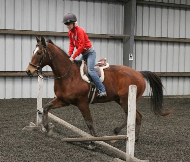 Molloy trains Loonie Lionel to jump in preparation for a new owner/rider.