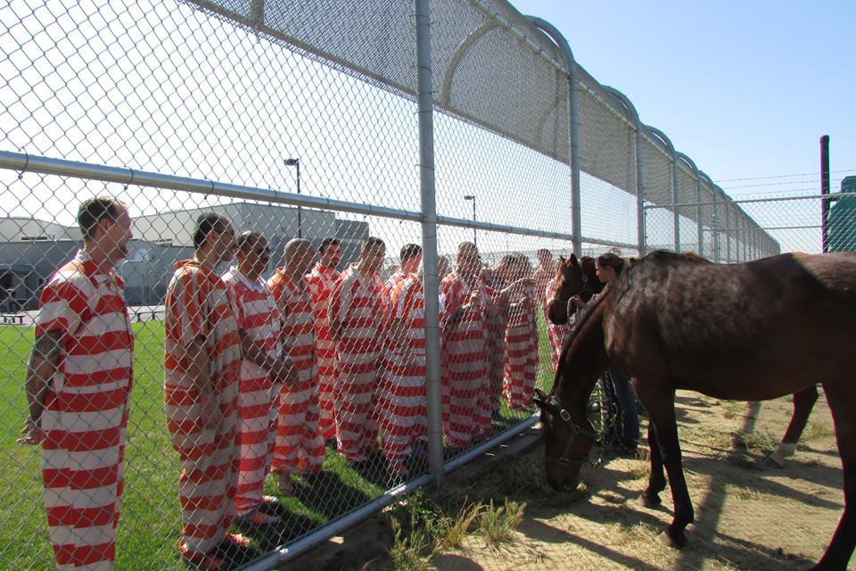 Inmates enjoy a moment with a Thoroughbred.
