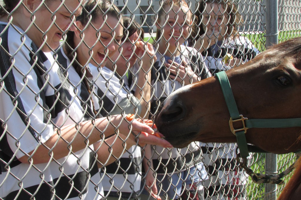 Inmates participating in the TRF's Second Chances program in California last year react to the experience of touching a Thoroughbred.