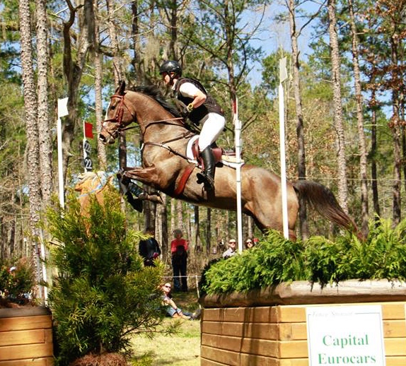 AP Prime, a $750 off-track Thoroughbred, took 3rd at Red Hills International Horse Trials. 